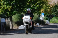 MG_8910.JPG