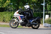 MG_8913.JPG