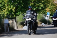 MG_8933.JPG
