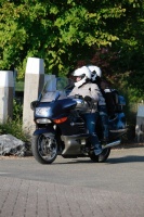 MG_9013.JPG