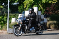 MG_9036.JPG