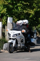 MG_9202.JPG