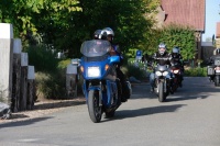MG_8804.JPG